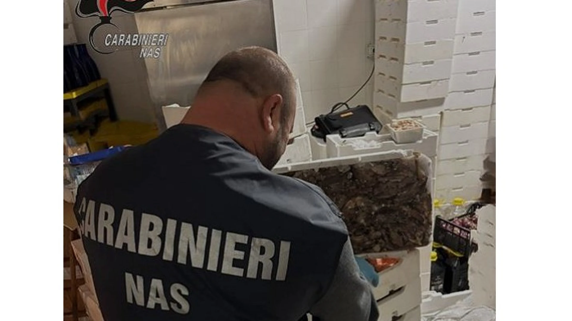 NAS Carabinieri Campobasso: sicurezza alimentare. Sequestrati 49 quintali di alimenti non conformi. Chiuse 4 attività nella Provincia di Isernia per gravi irregolarità igienico-sanitarie.